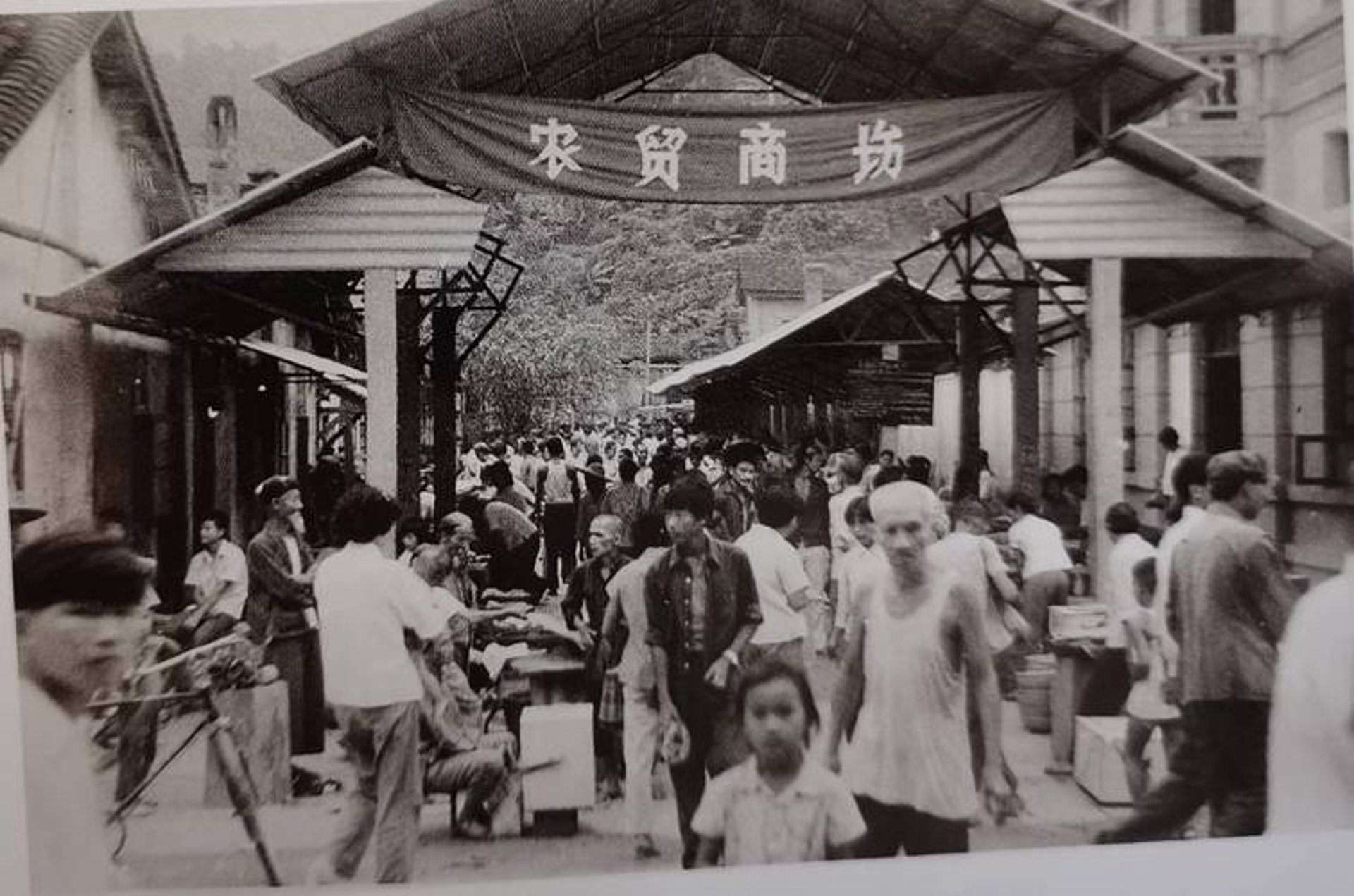 于龙粮油贸易